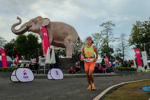 BIB: 
                            <button type="button" onclick="openModal(26528852)" class="btn btn-primary btn-sm float-right btn-popup" data-toggle="modal" data-target=".modal-high-quality">
                        <i class="fas fa-shopping-cart"></i> Add to Cart
                    </button>
                                            <button type="button" onclick="isThisMe(26528852, true)" class="btn btn-success btn-sm float-right btn-popup btn-isme hidden" data-toggle="tooltip" data-placement="bottom" title="นี่คือรูปของคุณใช่ไหม คลิกที่นี่เพื่อเอาเข้าอัลบั้ม">
                        <i class="fas fa-plus"></i> Add to album
                    </button>
                    <button type="button" onclick="isThisMe(26528852, false)" class="btn btn-warning btn-sm float-right btn-popup btn-isnotme hidden">
                        <i class="fas fa-ban"></i> Remove from album
                    </button>